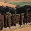 Siena Photo Gallery: Visit our Photos from Siena
