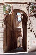Learn Italian in Siena: a street of Siena
