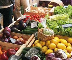 Italian food culture Academic programs