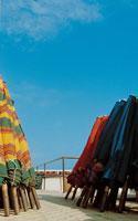 Learn Italian in Viareggio