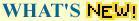 What's NEW on Italian language school