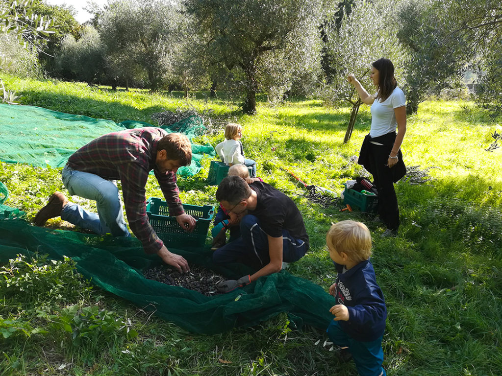 Olio nuovo e fettunta