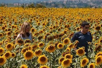 Informazioni utili per la tua vacanza studio a Siena